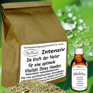 Medetur & Vita-Hound Intensiv mit Heilpflanzen Hintergrund
